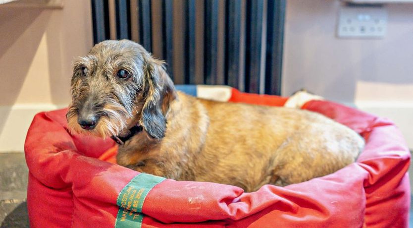 Photo of 3 Bed in Far Sawrey