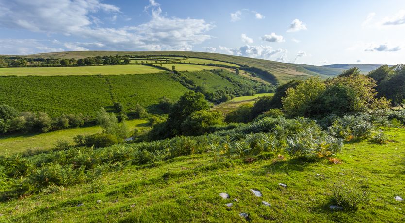 Photo of Hillway Lodge, Withypool