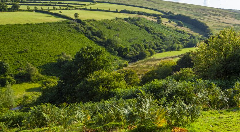 Photo of Hillway Lodge, Withypool