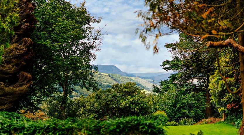 Photo of in Machynlleth  (93078)
