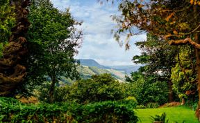 Photo of in Machynlleth  (93078)