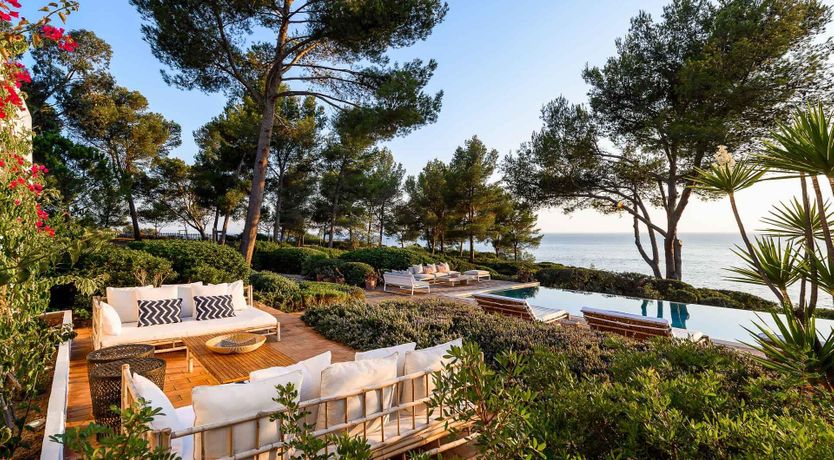 Photo of A Rose on the Shore