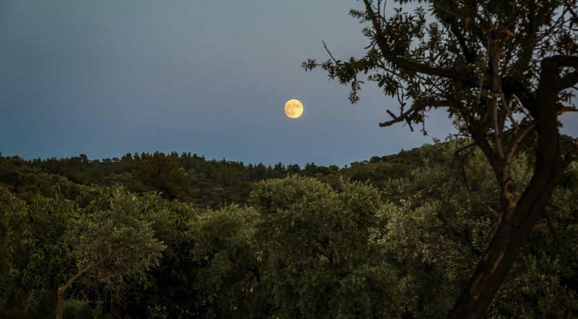 Photo of At The Sea's Shore