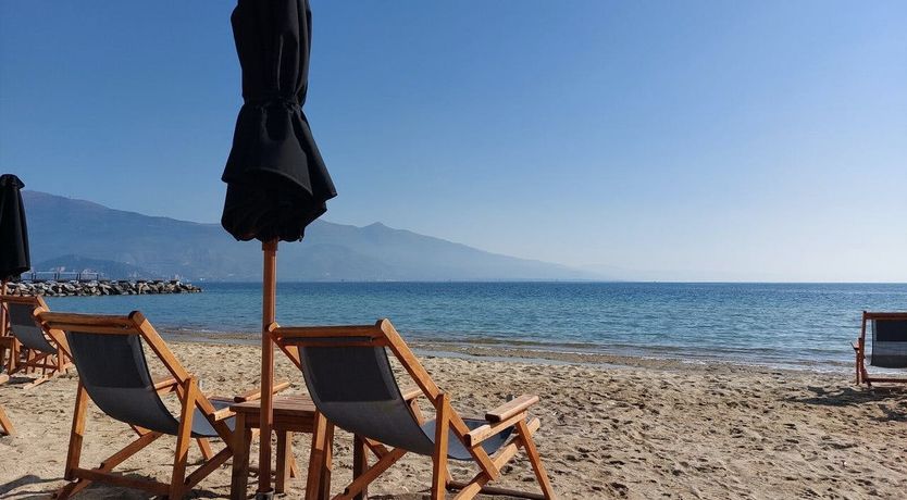 Photo of The Lyrebird's Nest
