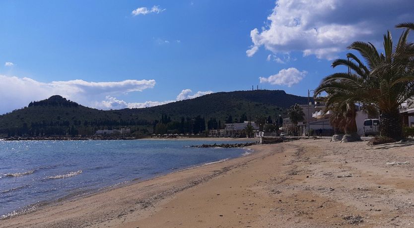 Photo of The Lyrebird's Nest