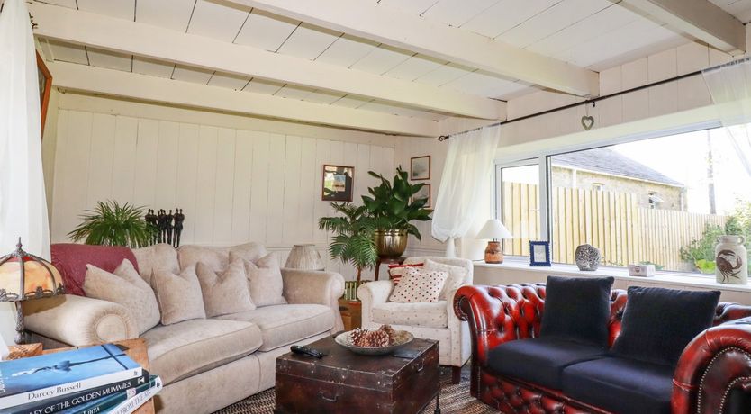 Photo of Quiet Trees