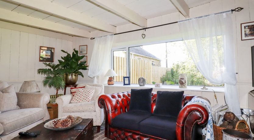 Photo of Quiet Trees