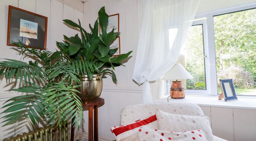 Photo of Quiet Trees