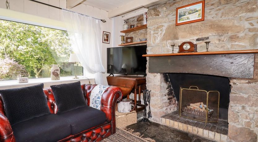 Photo of Quiet Trees