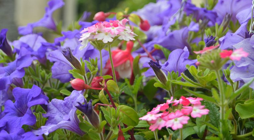 Photo of Windbury Cottage