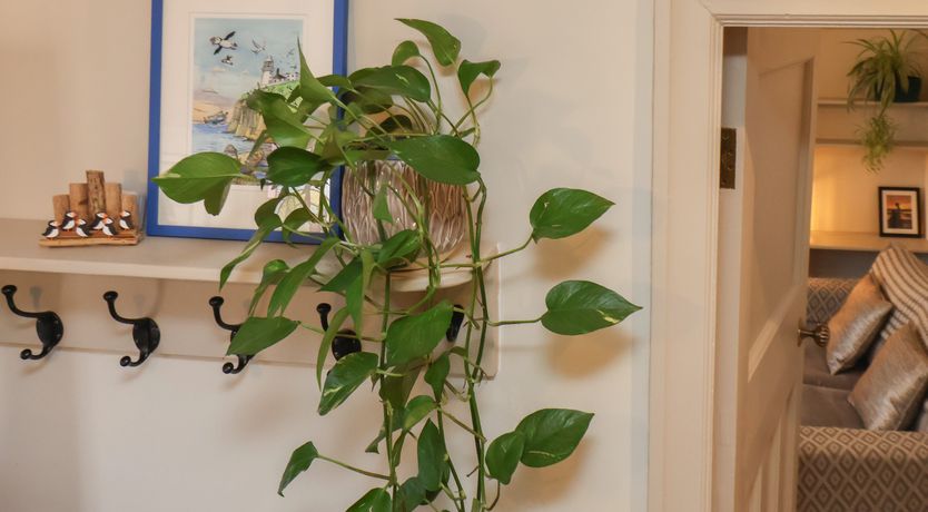 Photo of North Bay Cottage