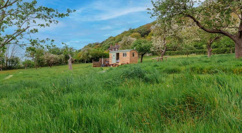 Photo of Bramley Hut, Allerford