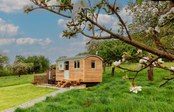 Bramley Hut, Allerford Holiday Cottage