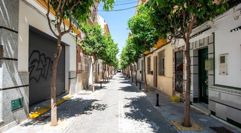 Photo of Flowers & Sunshine