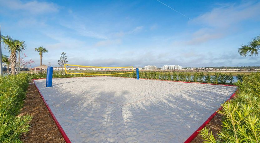 Photo of Palmview Paradise