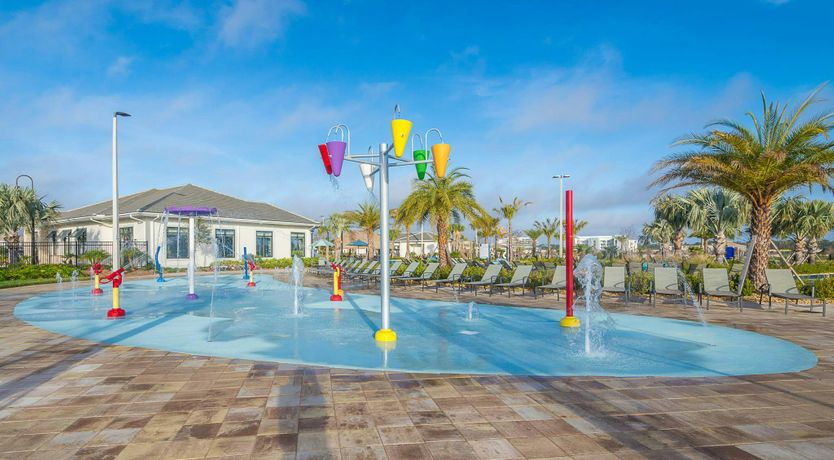 Photo of Palmview Paradise