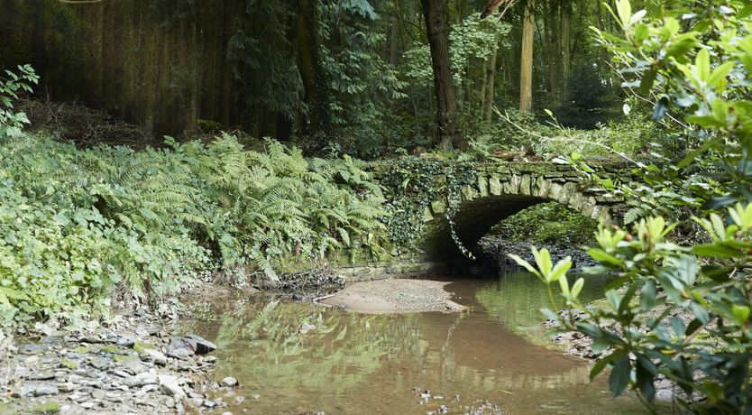 Photo of Barn Owl's Hideaway