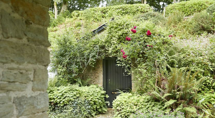 Photo of Barn Owl's Hideaway