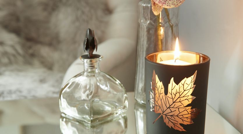 Photo of Barn Owl's Hideaway