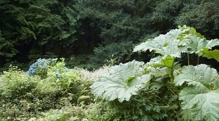 Photo of Barn Owl's Hideaway