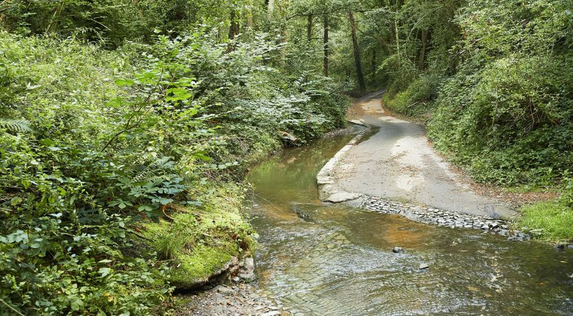 Photo of Barn Owl's Hideaway