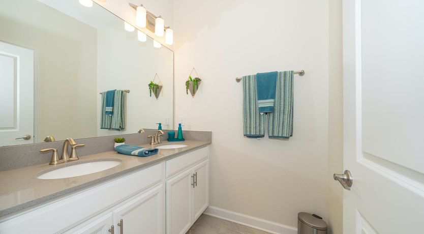 Photo of The Great Smoky Mountains