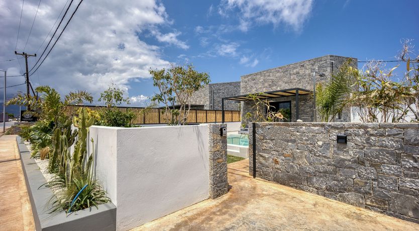 Photo of Eucalyptus & Olive