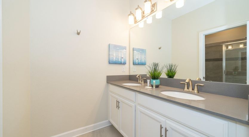 Photo of The Magic of Osceola