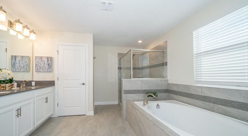 Photo of The Magic of Osceola