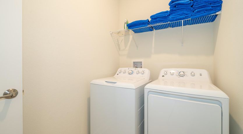 Photo of The Magic of Osceola