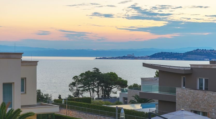 Photo of A Star in the Sky