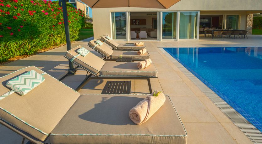 Photo of A Star in the Sky