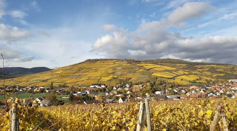 Photo of Silver & Wood