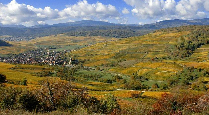 Photo of Silver & Wood