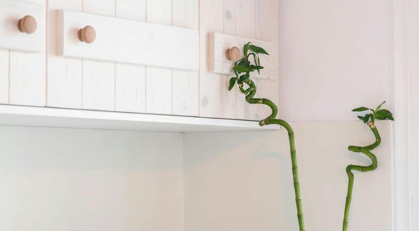 Photo of The Aegean Retreat