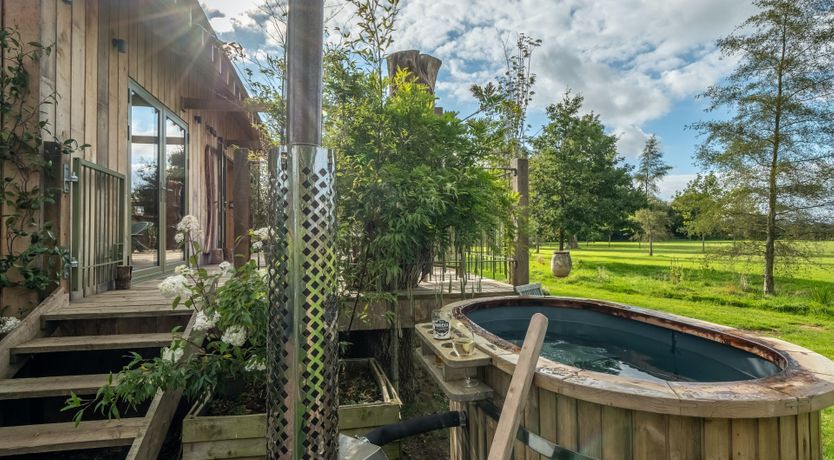 Photo of The White Horse