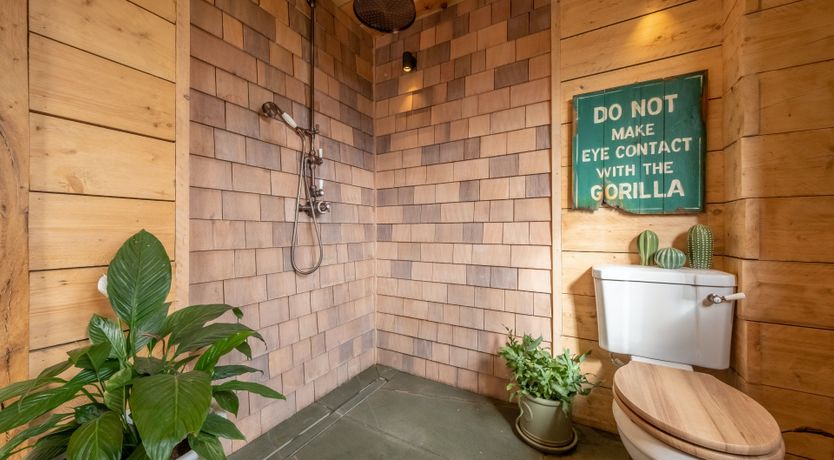 Photo of The White Horse