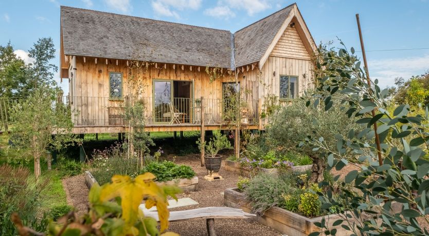 Photo of The White Horse