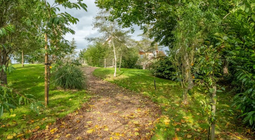 Photo of The White Horse