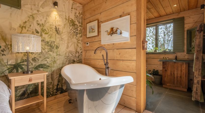 Photo of The White Horse