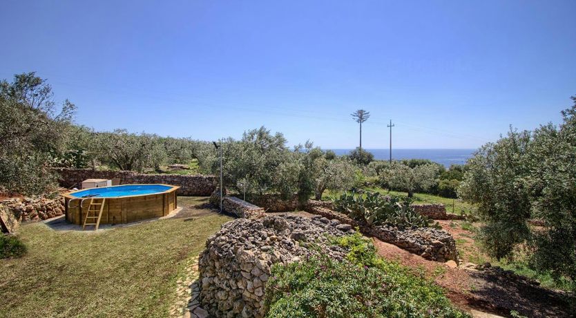 Photo of Whispering Olive Grove