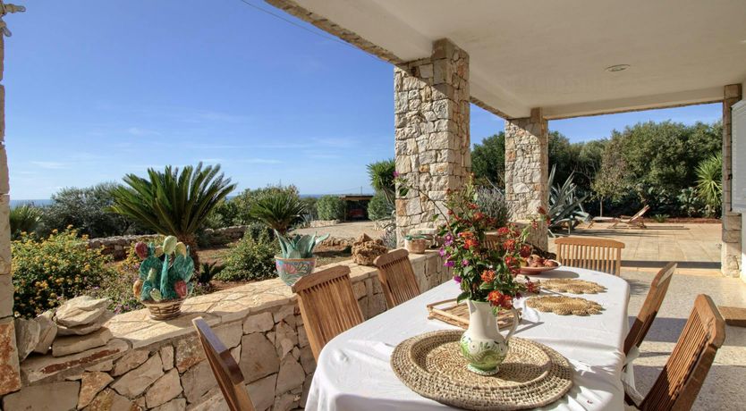 Photo of Whispering Olive Grove