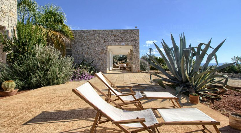 Photo of Whispering Olive Grove