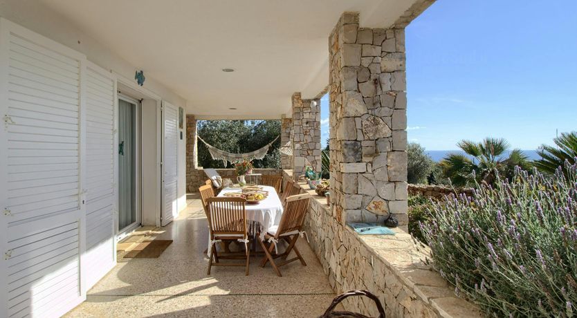 Photo of Whispering Olive Grove