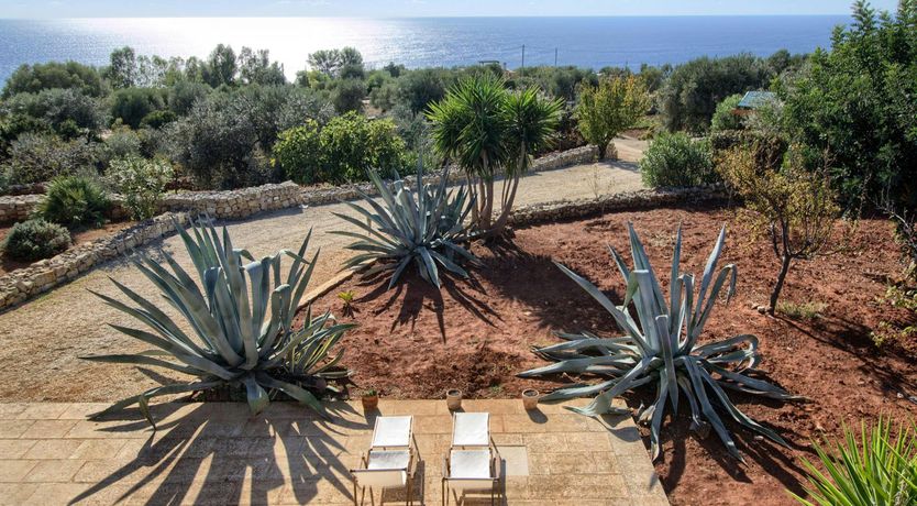 Photo of Whispering Olive Grove