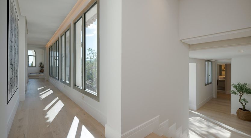 Photo of Bird's Eye Bliss