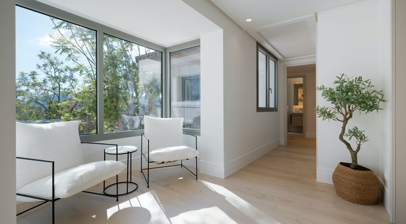 Photo of Bird's Eye Bliss