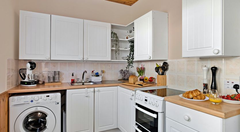 Photo of Majestic Moray