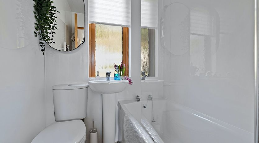 Photo of Majestic Moray