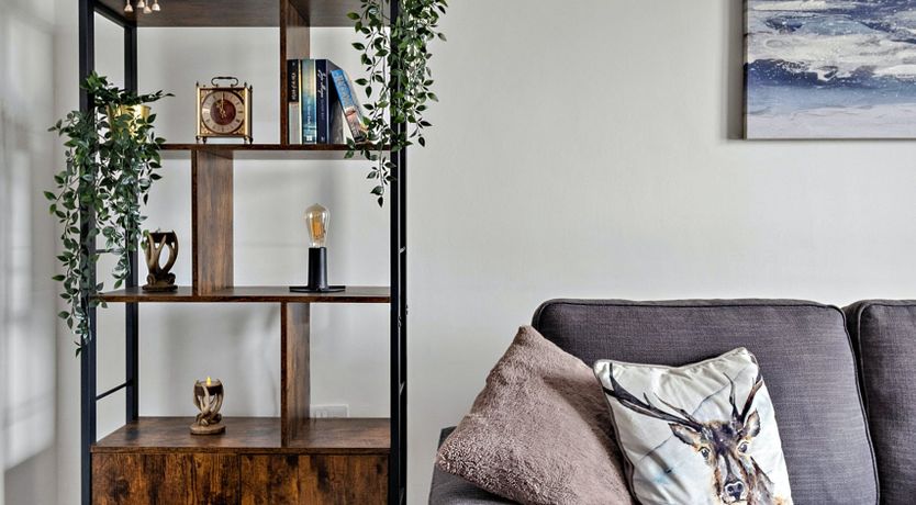 Photo of Majestic Moray